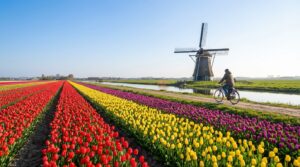 Windows 11: Microsofts beloftes leiden tot verhitte discussie